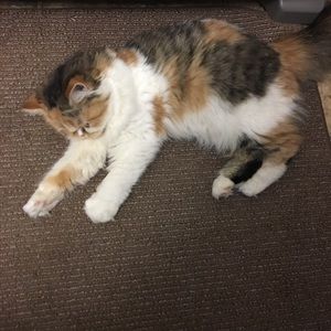 Meet your Posher, Marla